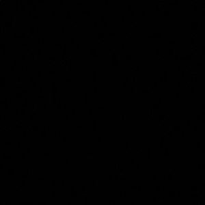 Meet your Posher, Louis